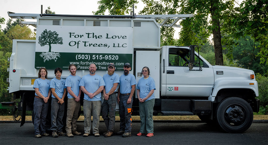 For The Love of Trees Certified Arborists